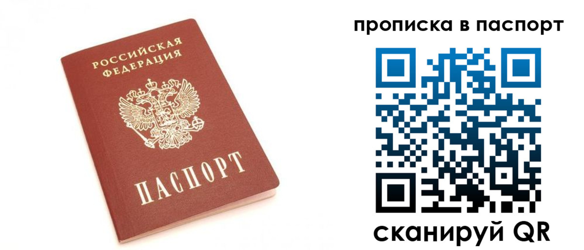 прописка для работы в Жукове